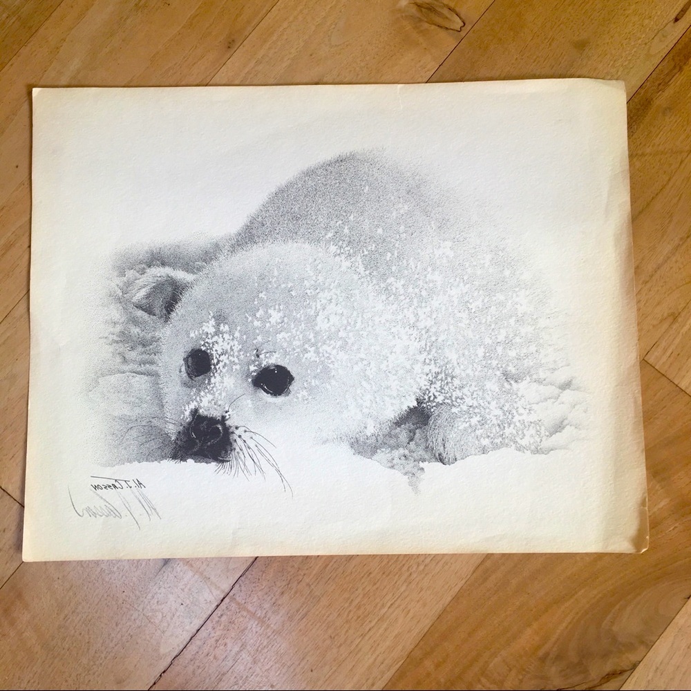 Pencil signed seal pup print by AJ Casson